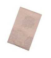 Taupe Embroidered Synthetic Crushed Tissue Saree With Floral Motifs-SY0591