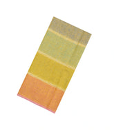 Multi Colour Handloom Linen Saree With Stripes-LI0738