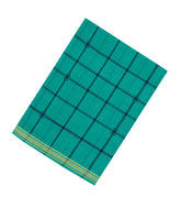 Aquamarine Woven Kadapa Cotton Saree With Checks-KN0711