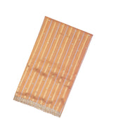 Peach Woven Organza Tissue Saree With Brocaded Stripes & Embroidery-EN1678