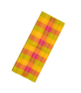 Multi Colour Handloom Soft Silk Saree With Checks & Buttas-SO3959