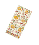 Off White Printed Jaipur Cotton Saree With Border-JC1840