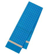 Sky Blue Woven Pure Silk Saree With Zari Checks-EC2613