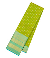 Light Green Handloom Kanchipuram Silk Saree With Zari Motifs-KA16911