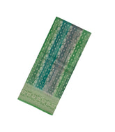 Green Handloom Banarasi Organza Silk Saree With Floral Stripes-BE1584