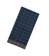 Indigo Handloom Dupion Silk Saree With Checks & Printed Pallu-DS0555