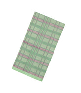 Mint Green Handloom Organza Silk Saree With Checks-SO4766