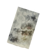 Cream Woven Blended Chiffon Saree With Printed Floral Motifs & Embroidered Selvage-EN1916