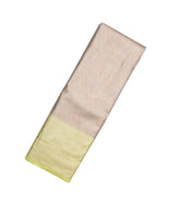 Taupe Woven Synthetic Tissue Saree With Floral Motifs & Neon Border-BL4348