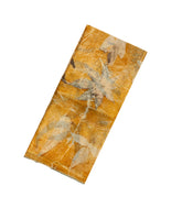 Yellow Handloom Tussar Silk Saree With Eco Printed Motifs-TU2828