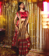 Red Handloom Chanderi Cotton Saree With Grey & Gold Stripes-CC1332