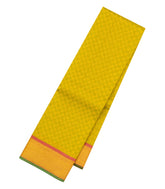 Lime Green Handloom Kanchipuram Silk Saree With Payadi Checks-KA14837