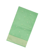 Mint Green Woven Blended Soft Silk Saree With Digital Weaving Pallu-BL3558