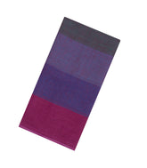 Multi Colour Handloom Linen Saree With Stripes-LI0740