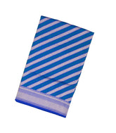 Blue Handloom Banarasi Silk Saree With Diagonal Floral Motifs-BE1304