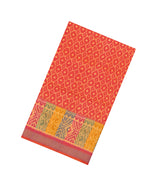 Orange Handloom Rajkot Patola Silk Saree With Ikat Motifs & Contrast Border-IK0450