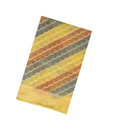 Multi Colour Handloom Banarasi Silk Cotton Saree With Diagonal Floral Motifs-BE1265