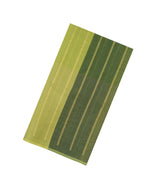 Light Green Handloom Organza Silk Saree With Zari Stripes-SO4775