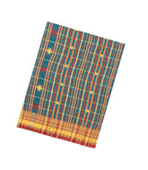Cyan Handloom Chanderi Cotton Saree With Bhujodi Pallu-CC1361