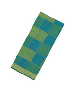 Aquamarine Woven Synthetic Brasso Saree With Floral Motifs-BL4917