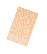 Light Peach Handloom Banarasi Cotton Saree With Jaal Motifs-BE1344