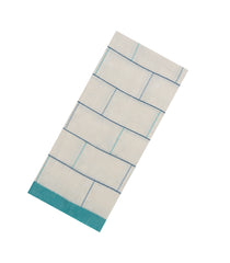 Off White Handloom Bengal Cotton Saree With Checks-BG1542