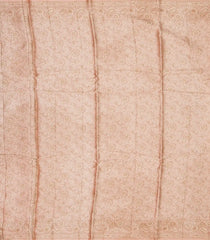 Light Peach Woven Tussar Silk Saree With Meena Floral Border-TU2972