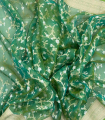 Light Green Handloom Organza Satin Soft Silk Saree With Floral Motifs-SO4090