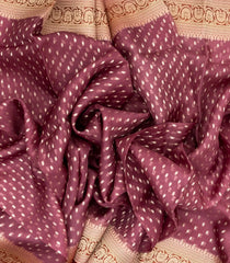 Chestnut Pink Handloom Banarasi Organza Saree With Floral Motifs-BE1251