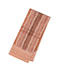 Peach Handloom Banarasi Organza Silk Saree With Floral Stripes-BE1583