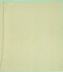 Mint Green Handloom Organza Soft Silk Saree With Stripe Motifs-SO4070