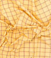 Cream Woven Kadappa Cotton Saree With Checks-KN0761