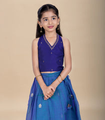 Teal Blue & Dark blue Festive Kids Pavadai Set-PM2092