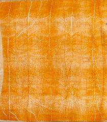 Orange Handloom Tussar Silk Saree With Eco Printed Motifs-TU2873