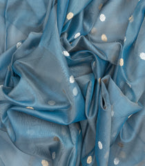 Grey Handloom Banarasi Tissue Saree With floral Motifs-BE1560