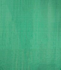 Taupe Woven Tussar Silk Saree With Contrast Rising Border-TU3249