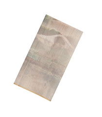 Taupe Printed Synthetic Linen Saree With Bird Motifs-SY0479