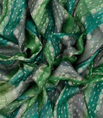 Green Handloom Banarasi Organza Silk Saree With Floral Stripes-BE1584