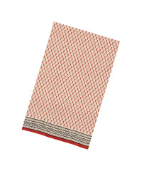 Taupe Printed Jaipur Cotton Saree With Floral Motifs-JC1661