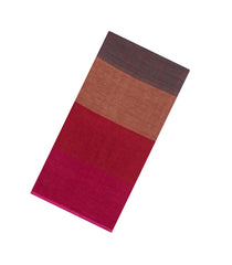 Multi Colour Handloom Linen Saree With Stripes-LI0741