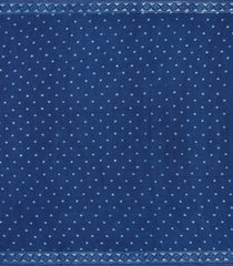 Indigo Printed Jaipur Cotton Saree With Border-JC1834