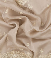 Taupe Woven Blended Organza Saree With Embroidered Floral Motifs-BL4372