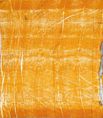 Mustard Handloom Tussar Silk Saree With Eco Printed Motifs-TU2848