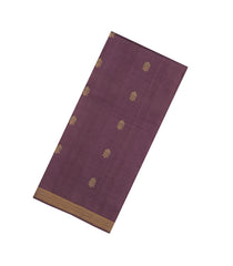 Lilac Woven Tussar Silk Saree With Mango Motifs & Zari Border-TU3527