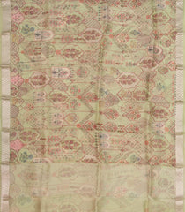 Cardamom Green Woven Organza Silk Saree With Printed Floral Motifs-PS0552