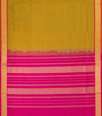 Oil Mustard Handloom Silk Cotton Saree With Contrast Border-SC4478