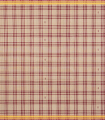 Taupe Woven Kadappa Cotton Saree With Checks-KN0750