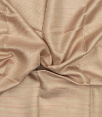 Taupe Woven Tussar Tissue Silk Saree With Checks-TU3449