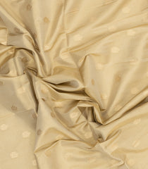 Taupe Woven Art Tissue Dupion Saree With Floral Zari Buttas-BL5883