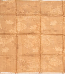 Beige Handloom Tussar Silk Saree With Printed Floral Motifs-TU2684